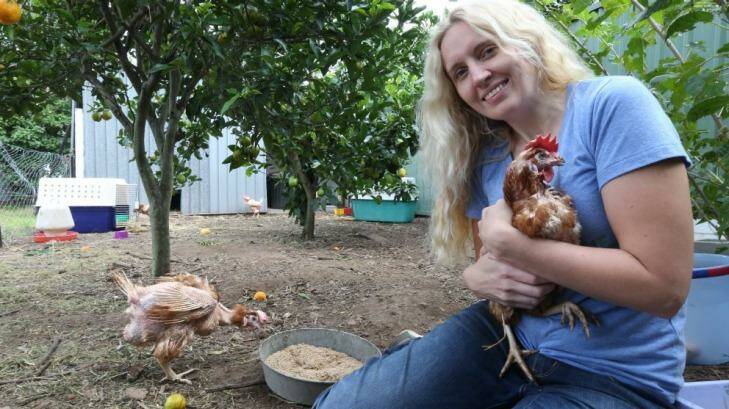 Chicken champion: Catherine Smith, founder of Hen Rescue NSW, has saved nearly a thousand battery hens. Photo: Peter Rae
