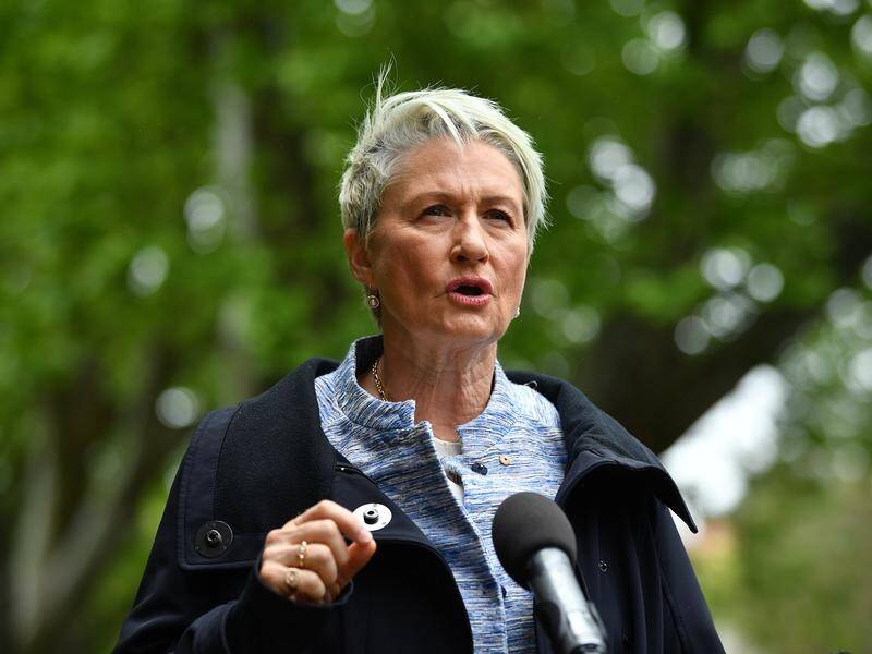 If Kerryn Phelps can get enough preferences, she will have a strong chance of winning in Wentworth.