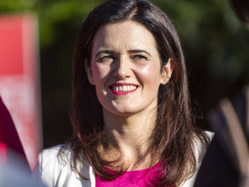 Labor has selected Ali France to take on Peter Dutton at the next federal election.