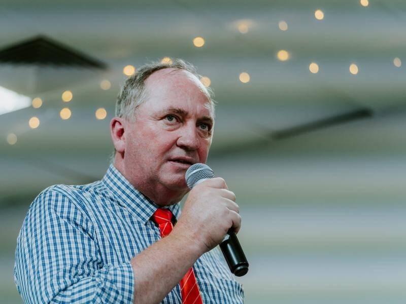 Barnaby Joyce says Australia must become stronger in the face of geopolitical tensions. (file)