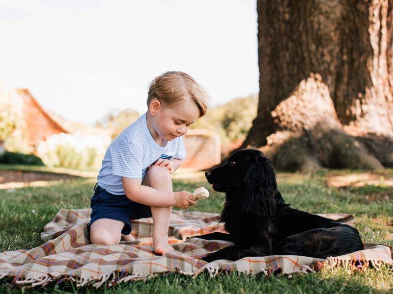 The Duke and Duchess of Cambridge's son Prince George with their beloved family dog Lupo.
