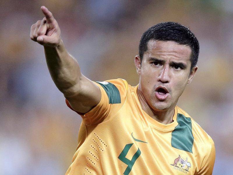 FFA hopes to farewell Tim Cahill in the Socceroos' friendly with Lebanon in Sydney in November.