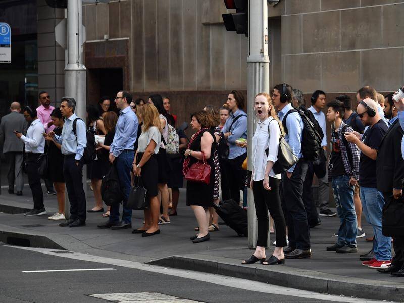 More than a third of Sydney pedestrians are distracted by devices while crossing busy intersections.