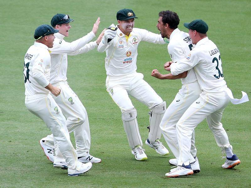 Australia celebrate Mitchell Starc taking a wicket with the first ball of the Ashes series.
