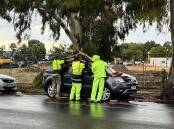 Wild storms and damaging winds have felled trees across Adelaide. (Jacob Shteyman/AAP PHOTOS)