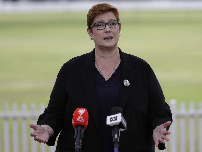 Foreign Minister Marise Payne is "deeply concerned" about China's proposed Hong Kong laws.