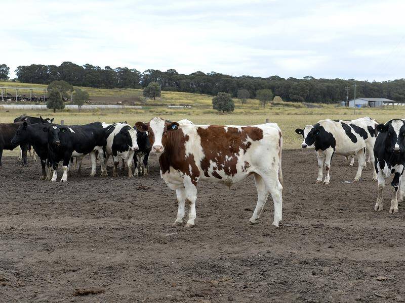 The Climate Proofing Australia alliance wants to move towards carbon neutral farming by 2030.