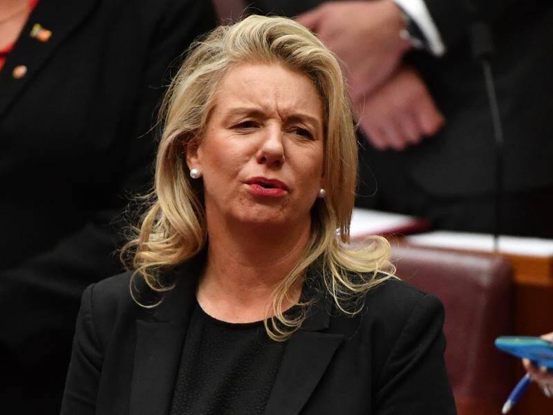 The auditor general has slammed the government's grants when Bridget McKenzie was sports minister.