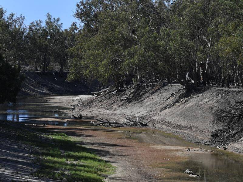 Deadlines have been extended to ensure water in the Murray-Darling is saved for the environment. (Dean Lewins/AAP PHOTOS)