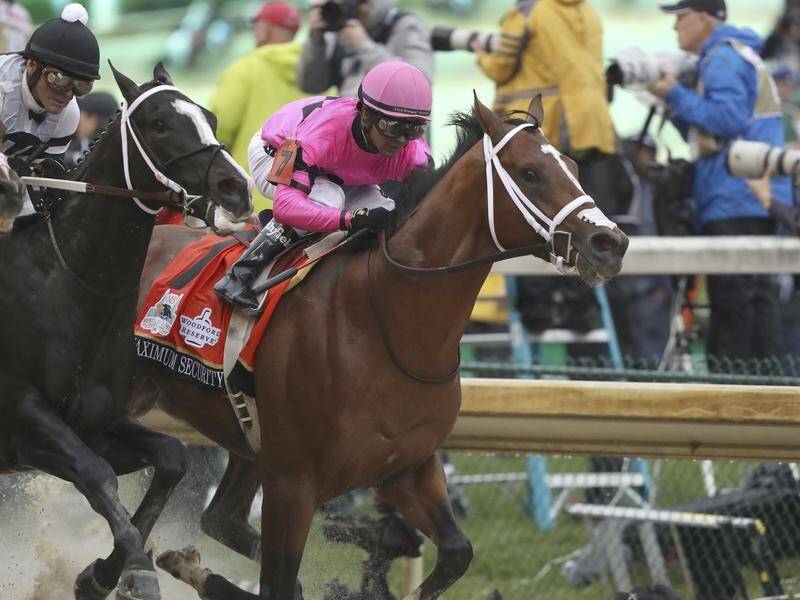 American star Maximum Security (pink) is the favourite for the inaugural Saudi Cup.