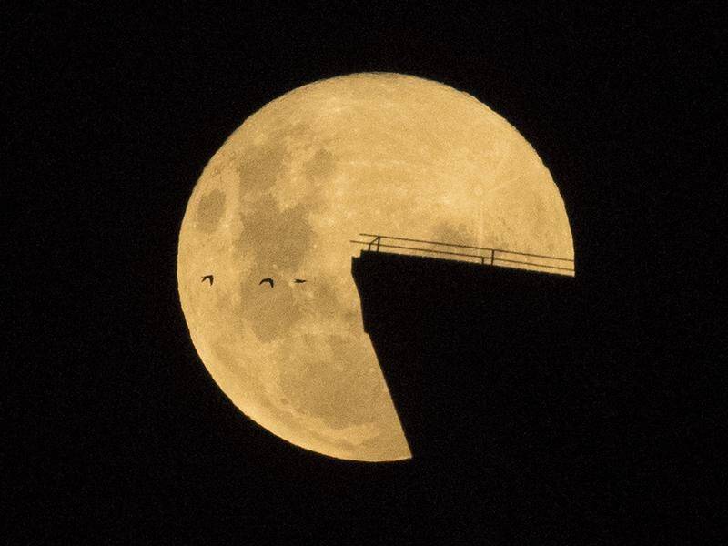 The pink supermoon rises behind the sails of the Sydney Opera House on Tuesday night.