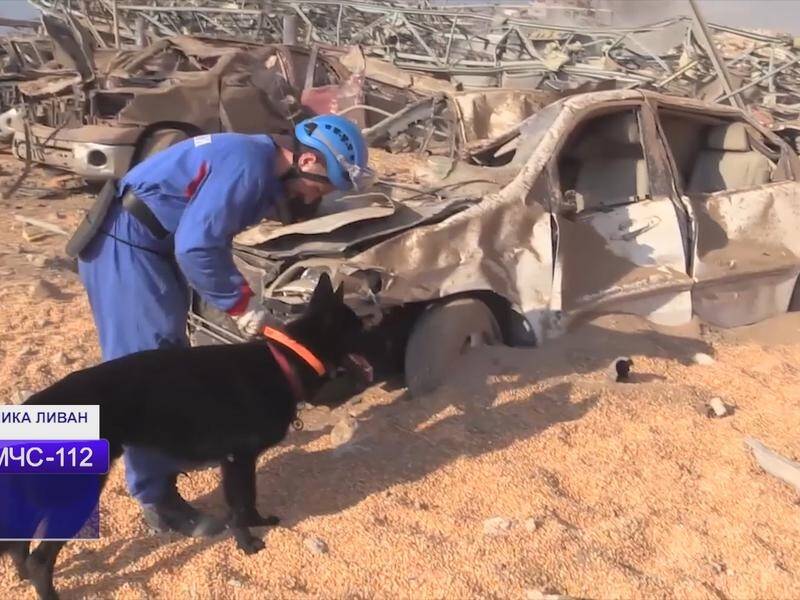 A Russian rescue worker and his dog search for survivors in the aftermath of the Beirut port blast.