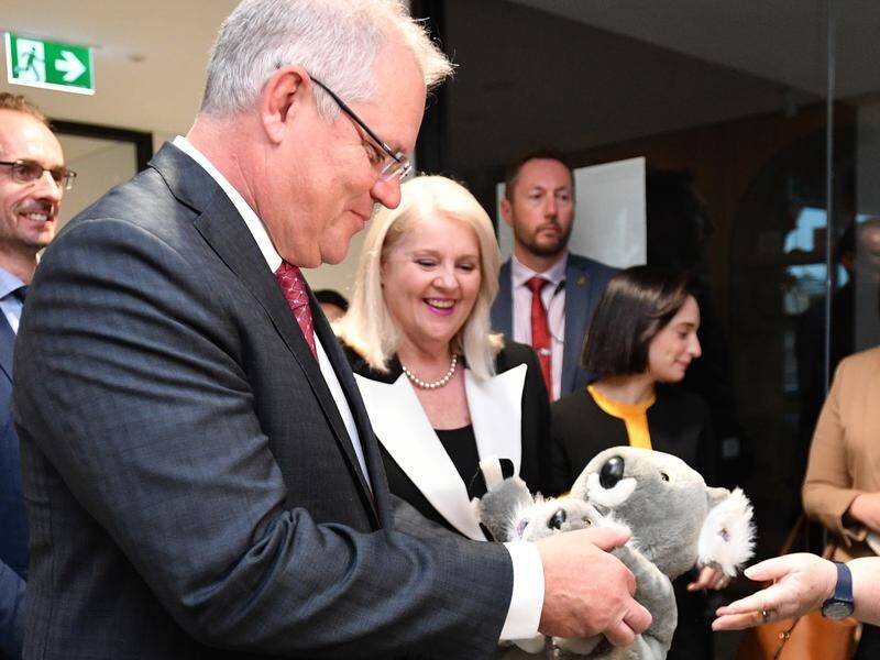 Scott Morrison has revealed the curious reason behind his affinity with the koala.