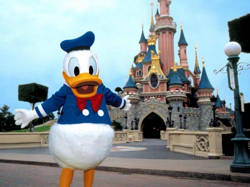 A sketch of Donald Duck signed by creator Walt Disney has fetched more than $A16,000 at auction.