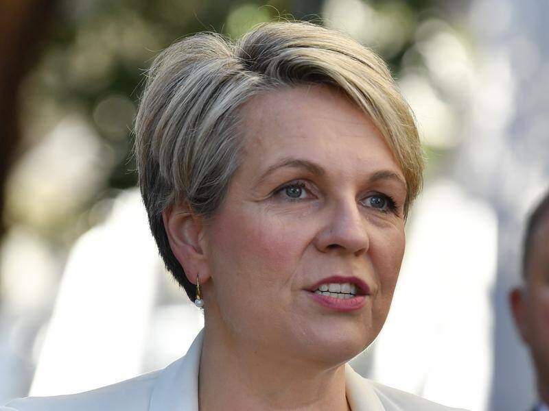 Tanya Plibersek says the government wants to frame public universities as elitist institutions.