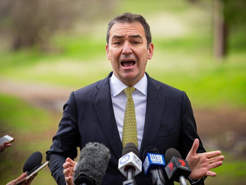 Premier Steven Marshall's government will deliver its second budget after last year's election win.