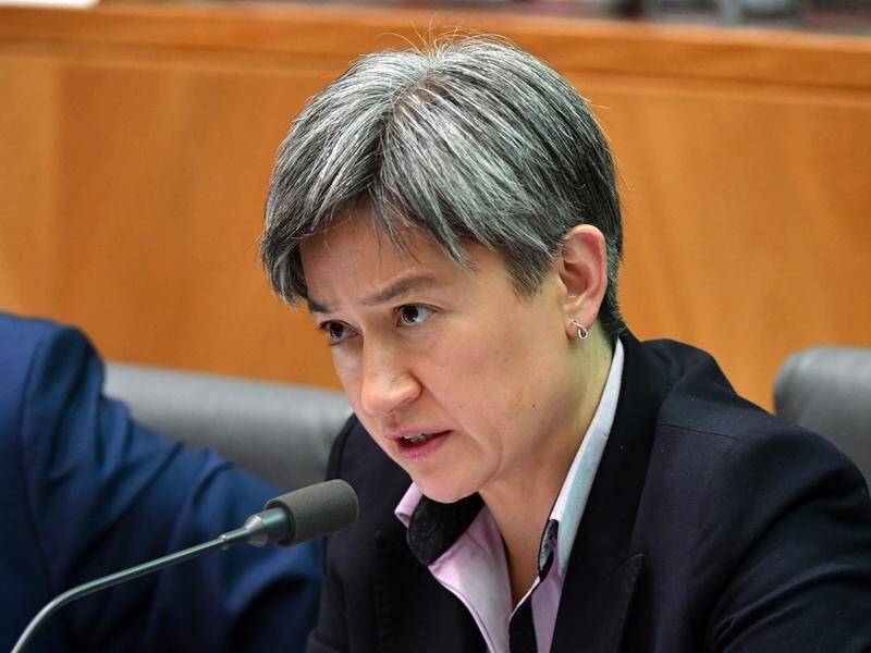 Penny Wong asked a Defence official about a contract he awarded to a company where his son works.