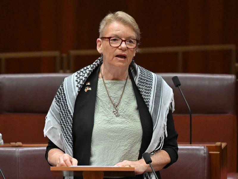 Greens senator Janet Rice says politics is failing those who need the most support. (Mick Tsikas/AAP PHOTOS)