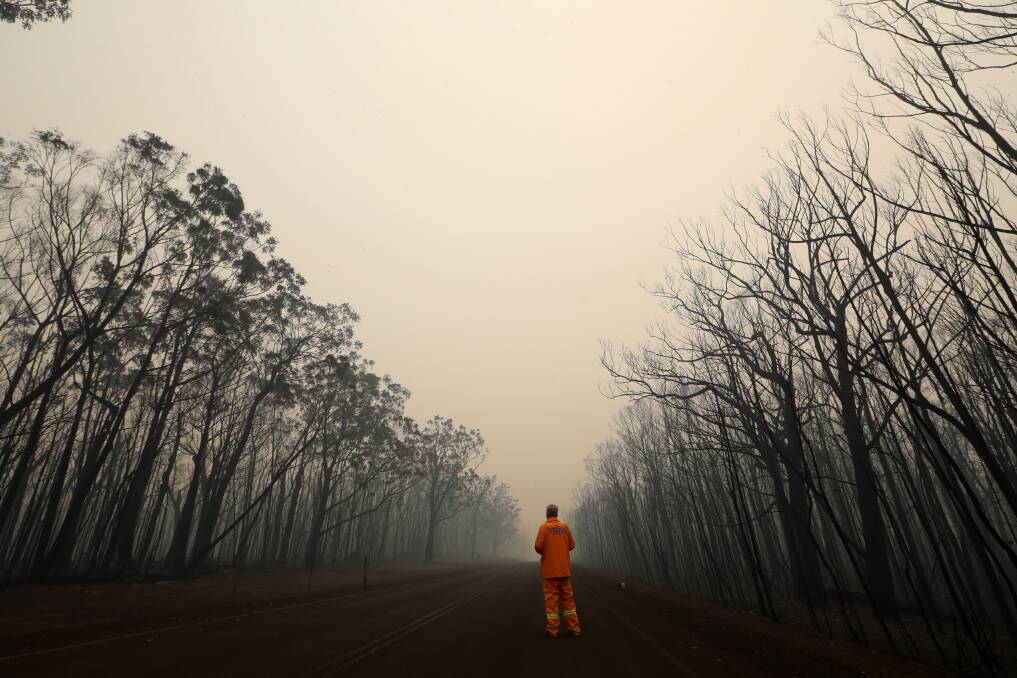 HIGH IMPACT: Scorched trees on the NSW South Coast following the bushfires in 2019. Picture: SYLVIA LIBER, ILLAWARRA MERCURY. 