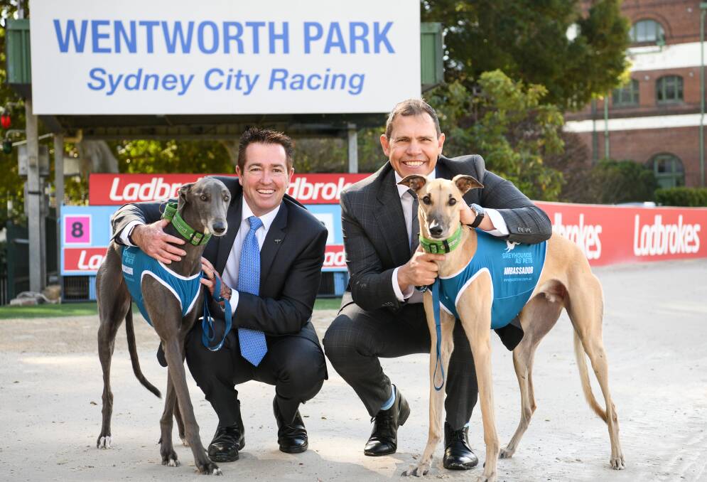 READY TO RACE: Deputy Premier Paul Toole with GRNSW chief executive Tony Mestrov at the launch of the worlds richest greyhound race the Million Dollar Chase. Photo: SUPPLIED. 
