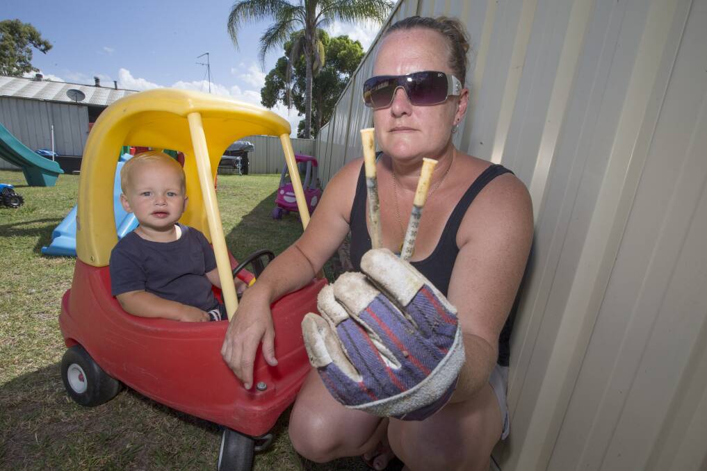 At risk: Bligh Park resident Kate Payne and her 21-month-old son Zavier in their backyard where Kate's husband found two syringes. Picture: Geoff Jones
