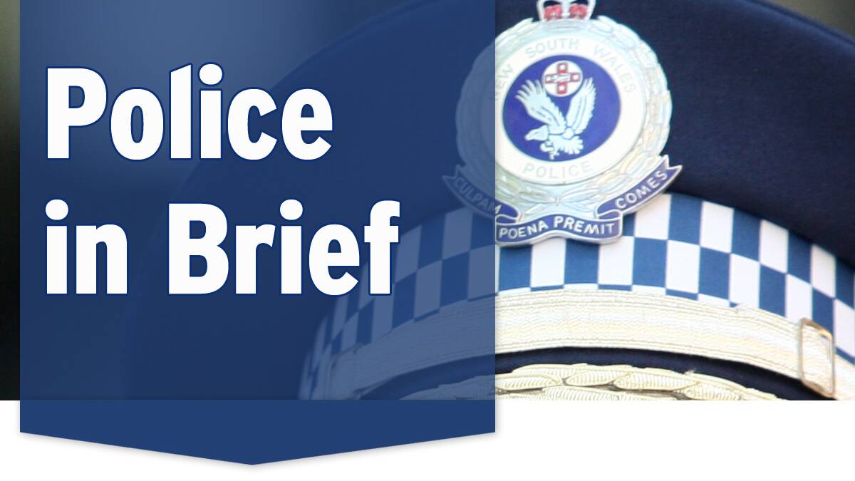 Pair posed as police in Schofields