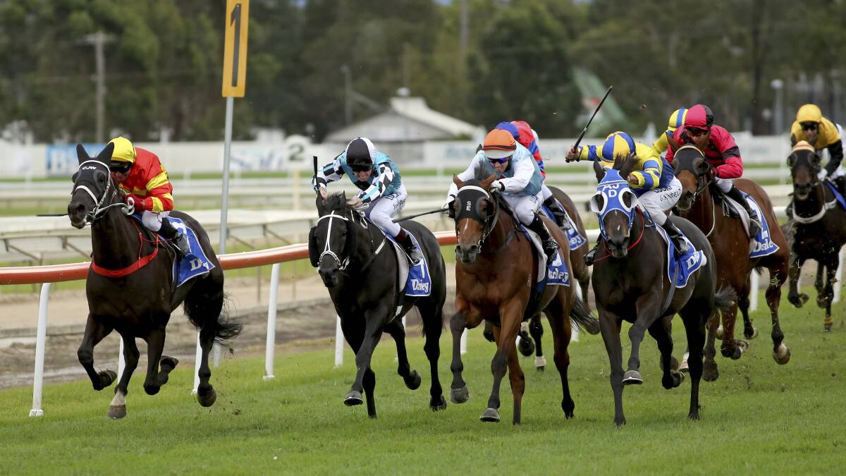 Racing at Hawkesbury Race Club. Picture: Damian Shaw