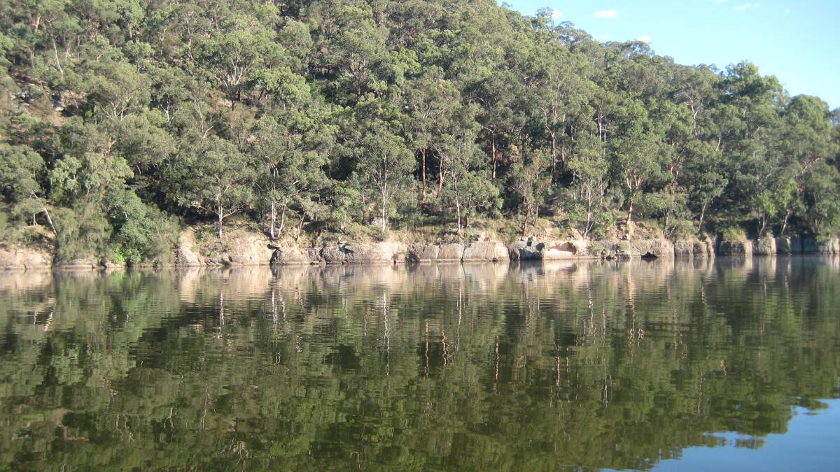 DROWNING: A man drowned while swimming in the Hawkesbury River yesterday.