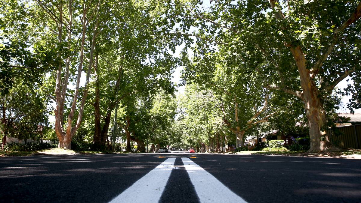 Chapel Street in Richmond is lined on either side by mature trees and according to Dr Brent Jacobs this can effectively cool an area despite intense heat. Picture: Geoff Jones