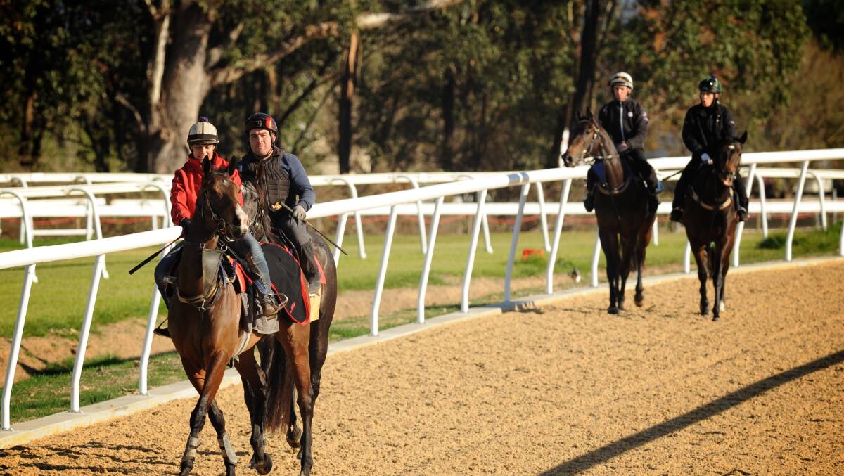 The first unnoficial training ride on Hawkesbury Race Club's Polytrack. Picture: Hawkesbury Race Club