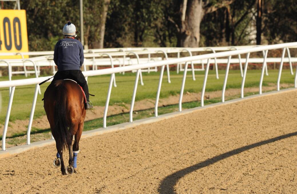 The Hawkesbury Race Club's Polytrack, which opened on Sunday to Hawkesbury-based trainers. Picture: Georgie Beresford