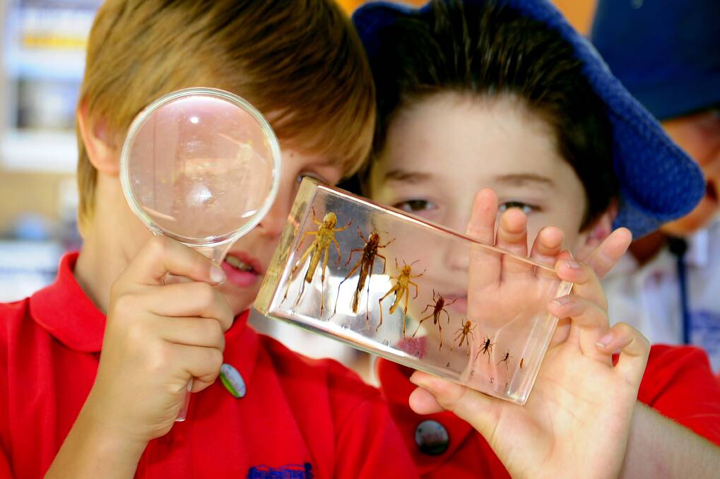 Caleb Optland and Cael Chacksfield of Richmond PS at the Australian Museum Stall. Photo: Kylie Pitt