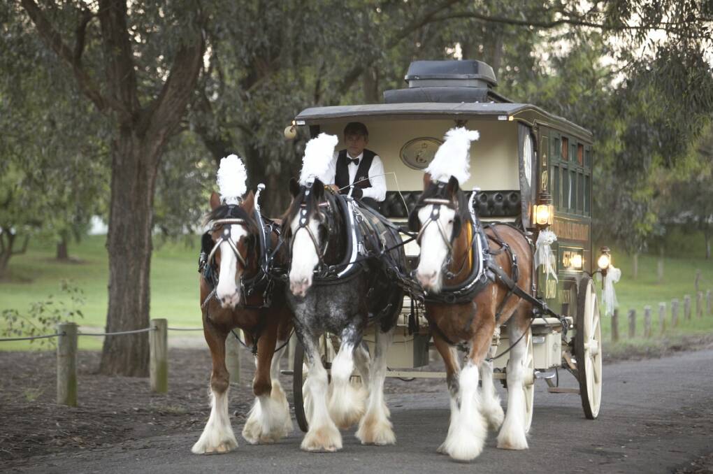 Time is running out for the beloved Clydesdales Horse Drawn Restaurant. If a deposit hasn’t been made or it hasn’t been sold by Monday, April 30, all individual items, including horses, will be sold off separately